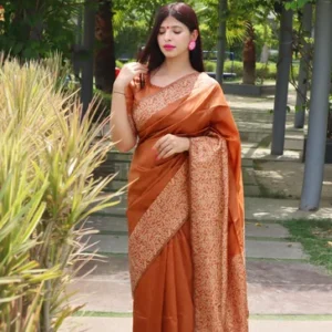 Dark Orange Saree